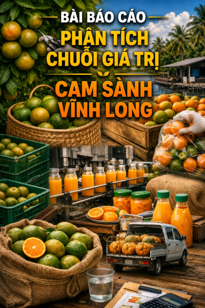 Phân tích chuỗi giá trị Cam Sành tỉnh Vĩnh Long